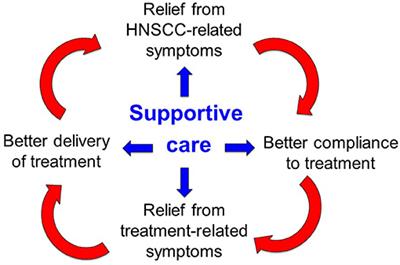 Quality Assessment in Supportive Care in Head and Neck Cancer